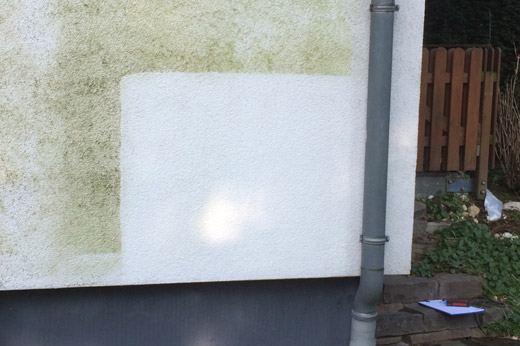 fassade-algen-reinigung-reinigungsdienst