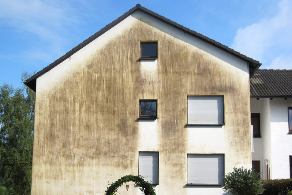 algen-fassadenreinigung-unternehmen