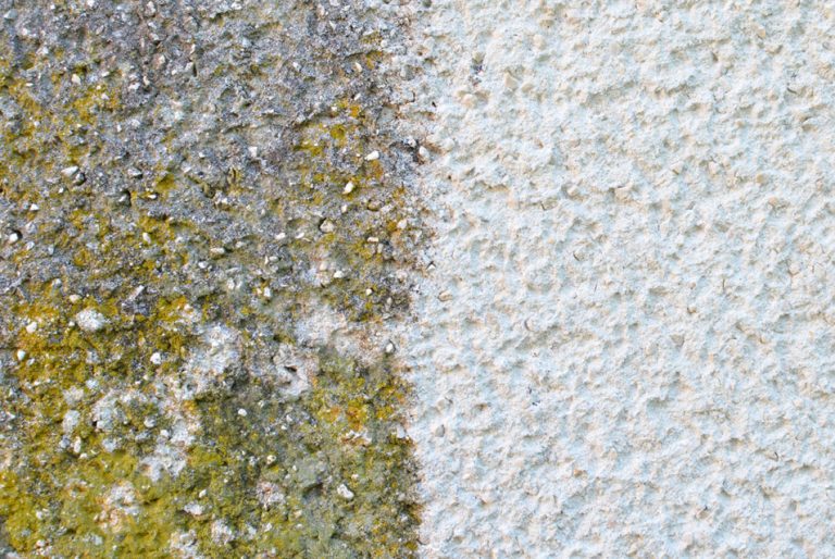 Algen reinigen Hausfassade